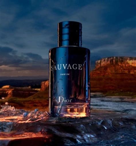 dior ソバージュ 持続時間|香水レビュー｜Dior Sauvage（ソヴァージュ）の評判が良すぎる件.